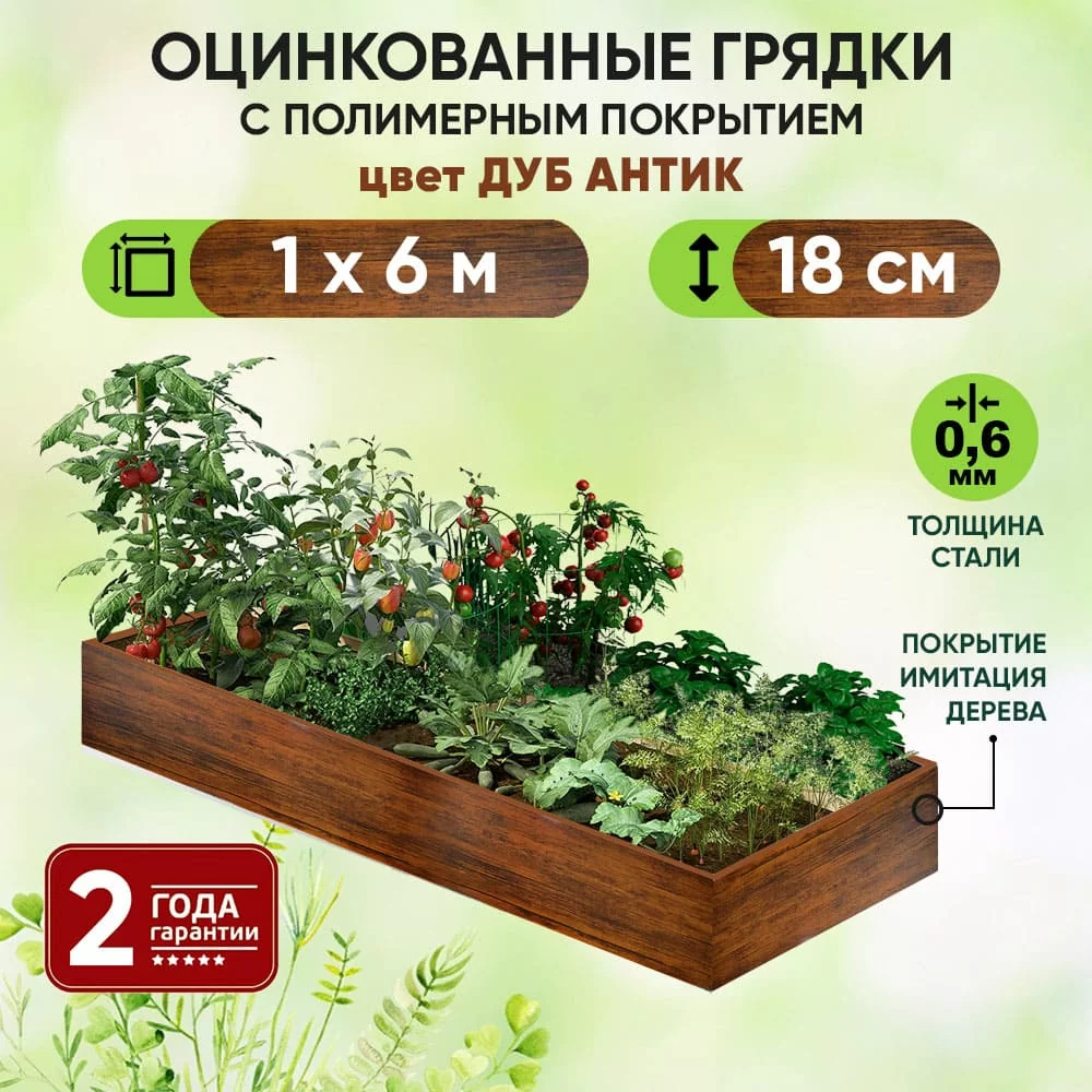 Грядка Дуб Антик (1 х 6)